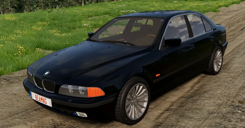 BMW 5 Series (E39) 1995-2003 v 3.17