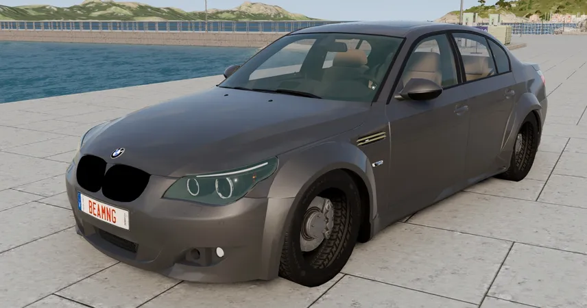 BMW 5 Series / M5 (E60) 2007-2010 v 4.91